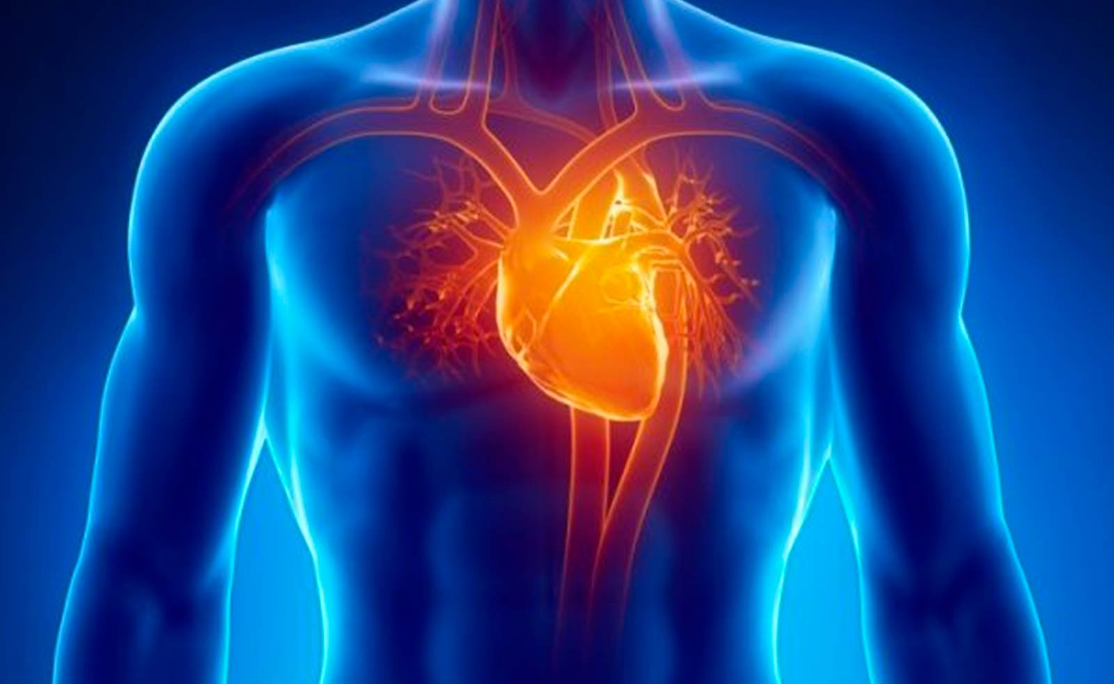 enfermedad cardíaca hipertensiva portada